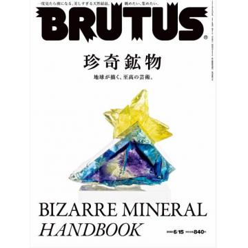 高端时尚生活设计刊brutus_magazine 2022年6月15