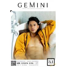 高端男模写真素材Gemini 3.1期ARM（全J图片281P+视频）