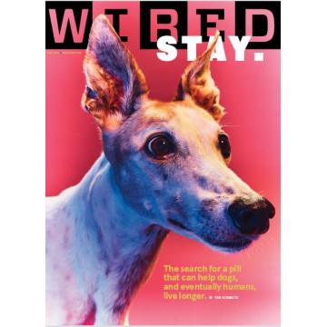 高端科技时尚设计刊美国wired 2022年11月