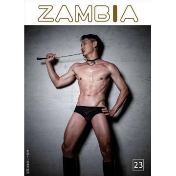 高端男模写真素材zambia 23期（半全J图片+视频）
