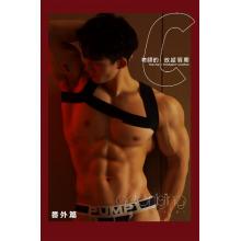 摄影师刘京adonisjing新写真老师的放纵假期番外篇