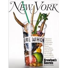 高端社会文化刊美国New York Magazine 2023年11月06