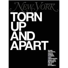 高端社会文化刊New York Magazine 2023年11月20