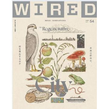 高端科技设计刊日本WIRED 2024年11月