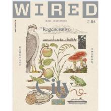 高端科技设计刊日本WIRED 2024年11月