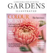 高端花卉花园设计刊英国Gardens_Illustrated 2024年11月