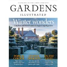 高端花园花卉设计刊英国gardens_illustrated 2024年12月